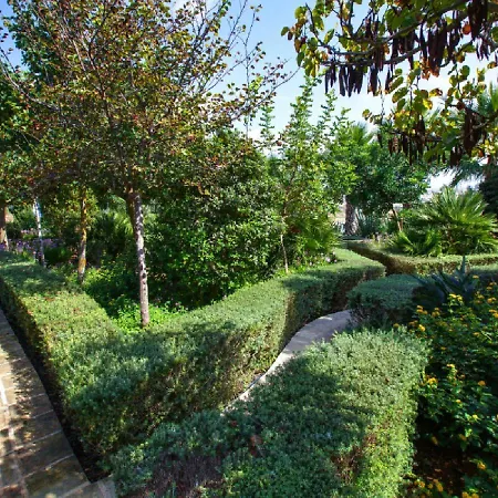 House Feed Kercem